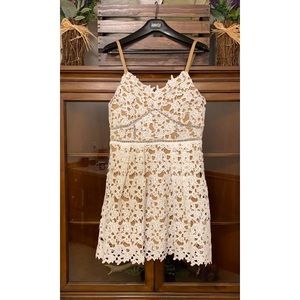 Lace summer dress boutique